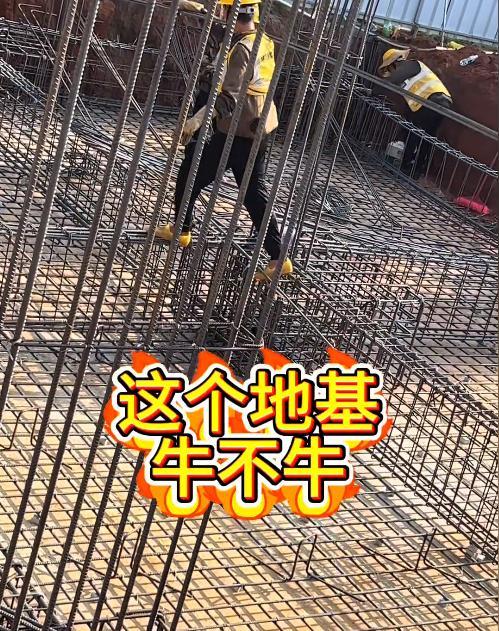 始行动全家地基质量被网友狂赞太过关OG真人全红婵家一建房邻居家也开(图5)