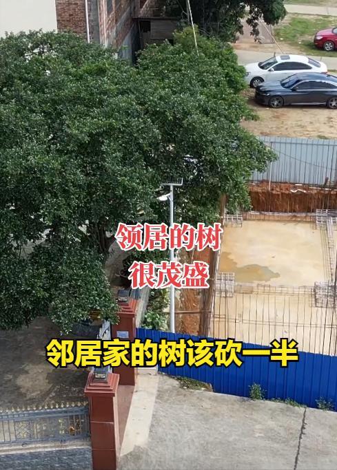 始行动全家地基质量被网友狂赞太过关OG真人全红婵家一建房邻居家也开(图6)